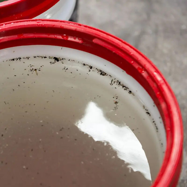 Автошампунь от смолы и следов насекомых Chemical Guys Bug&Tar Remover, 3785 мл (CWS104)