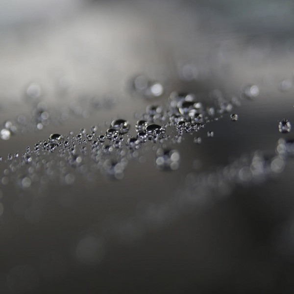 Силант влажного нанесения Koch Chemie WetGloss, 500 мл (684500)