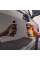Мелкоабразивная полировальная паста - Chemical Guys P4 Precision Paint Perfection Polish, 473мл
