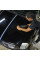 Мелкоабразивная полировальная паста - Chemical Guys V36 Paint Correction Cutting Polish, 473мл