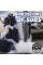 Перчатка микрофибровая для мытья автомобиля Chemical Guys Chenille Wash Mitt, Black (MIC498)
