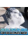 Двусторонняя перчатка для мойки Chemical Guys The Dually Wash Mitt